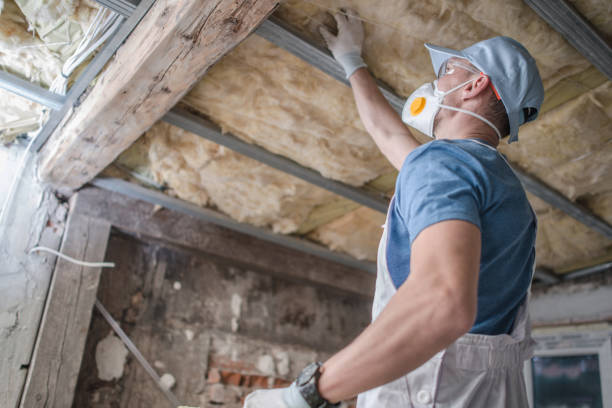 Best Specialized Insulation Services in Payson, AZ
