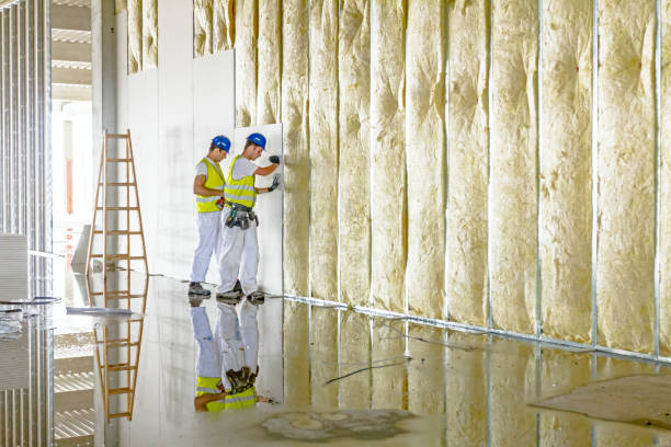 Best Geographic-Specific Insulation Services in Payson, AZ